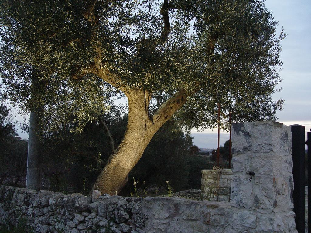 Trullo Sereno Angelo Locorotondo Εξωτερικό φωτογραφία